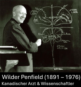 Wilder Penfield und seine Forschungen am offenen Gehirn. Er fand heraus, dass die Insula unser Sitz für die Emotionen ist