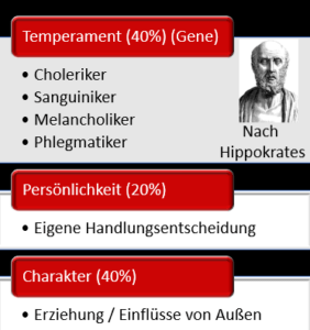 Der Unterschied zwischen Temperament, Charakter und der Persönlichkeit