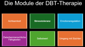 Die Module der DBT Therapie sind Achtsamkeit, Stresstoleranz, Emotionsregulation, Zwischenmenschliche Effektivität, Selbstwert.  Süchte