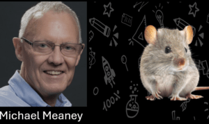 Einer der am häufigsten erwähnte Forscher auf diesem Gebiet der Epigenetik ist wohl Michael Meaney von der McGill University in Montreal /Kanada der viele Jahre an neugeborenen Ratten und ihren Müttern geforscht hatte. 