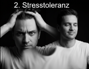 Stresstoleranz ist ein Modul in der DBT