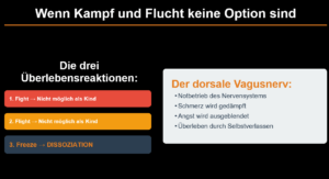 Überlebensstrategien bei einem Trauma