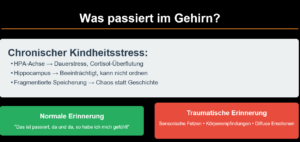 Was passiert im Gehirn, wenn ein Trauma und eine Dissoziation entsteht?