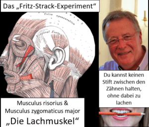 Fritz Strack, ein deutscher Sozialpsychologe hat diesen Test 1988 mit einem Augenzwinkern ein wenig abgeändert, indem er zwei Personengruppen bat, Comics nach ihrem Grad der Witzigkeit einzuordnen. 