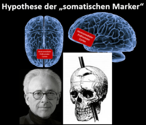 Antonio Damasio und die Hypothese der „somatischen Marker“ Das Gehirn