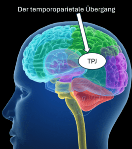 Der temporoparietale bergang. Unser Gehirn kann sich selber abspalten