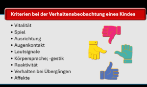 Kriterien in der Verhaltensbeobachtung eines Kindes bei familienpsychologischen Gutachten nach Jacobs