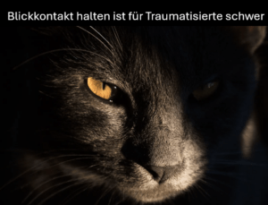 In Blickkontakt mit anderen zu treten ist für einen Traumatisierten sehr schwierig