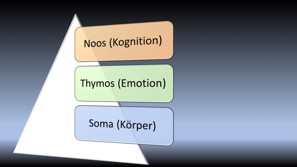 Noos (die kognitiven Fähigkeiten) Thymos (die Emotionen / Gefühle) und Soma (unser Körper)
