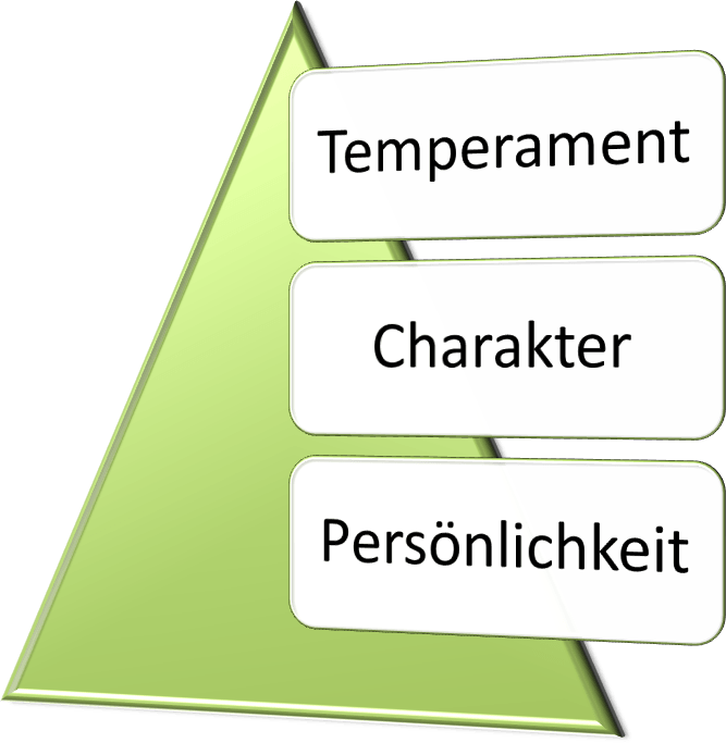 Was ist der Unterschied zwischen Temperament, Charakter und der Persönlichkeit?