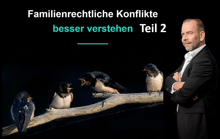 Konflikte in familienpsychologischen Gutachten verstehen