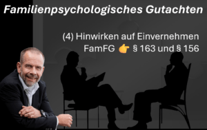 Familienpsychologische Gutachten Teuil 4 Hinwirken auf ein Einvernehmen nach FamFG §163