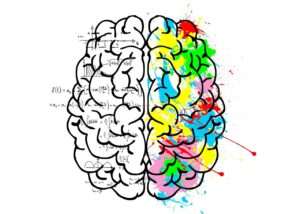 Die rechte und die linke Gehirnhälfte arbeiten unterschiedlich. Links ist rational und rechts emotional